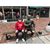 Alane Rubin's profile image