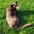 Valerie Hughes's profile image