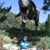 Sharon Wendt's profile image