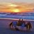 Donna Wilhelm Florio's profile image
