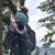 Ali Furtwangler's profile image