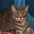 Lisa Matley's profile image