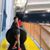 Micky Salazar's profile image