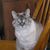 Ann Nodzak Barnes's profile image