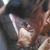 Shamya Green's profile image