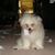 Ken Renner's profile image