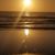 Mary Zimmer DeRouen's profile image