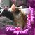 Shoshannah Faber's profile image