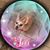 Diane Conley's profile image
