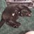 Amanda Berry White's profile image