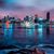Nima Moshksaran's profile image