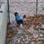 LaDonna Hopkins's profile image