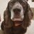 Curt Cady's profile image