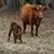 Randy Bearden's profile image