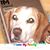 Kathy Harris's profile image