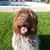 Libby Shaw's profile image