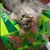 Aimee Gerard's profile image