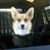 Lori Jackson's profile image