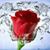 Teresa Powe's profile image
