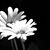 Kathe Marie's profile image
