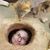 Lauren LaPlant's profile image