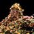 Norma Eckman Farides's profile image