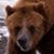Keith Dombrowski's profile image