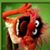 Rodney Spann's profile image