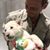 Kenn Meiselman's profile image