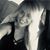 Lisa Vinson's profile image