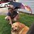 Crystal Napier's profile image