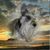 Rhonda Rooney's profile image