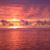 Nancy Orvis Sullivan's profile image