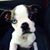 C. Stephenson Gibbs's profile image