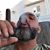 Chris Robert Becklein's profile image