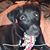 Lonna-and Murray-Lynn Hailey's profile image