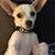 Penny N Antonio DeMoss-Ventura's profile image