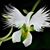 Carla Hill Brown's profile image