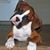 Angel Webster Pitts's profile image