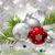 Shirley Barnes's profile image