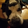 Victoria C.'s profile image