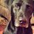 Rob Sohler's profile image