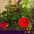 Gary Hagberg's profile image