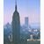 Mark DeGraff's profile image