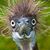 Cathe Adams's profile image