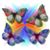 Jane Zotter's profile image