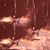 Colt Armstrong Inman's profile image