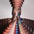 Esteban Barrera's profile image