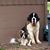 Karen Roby's profile image