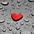 Karen Bitler's profile image